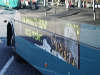 reptielendierenpark serpo Connexxion bus